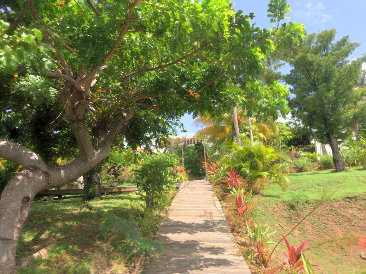 Residence Paradis Tropical Basse-Terre Exterior photo